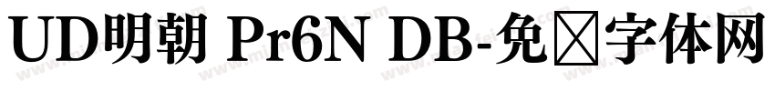 UD明朝 Pr6N DB字体转换